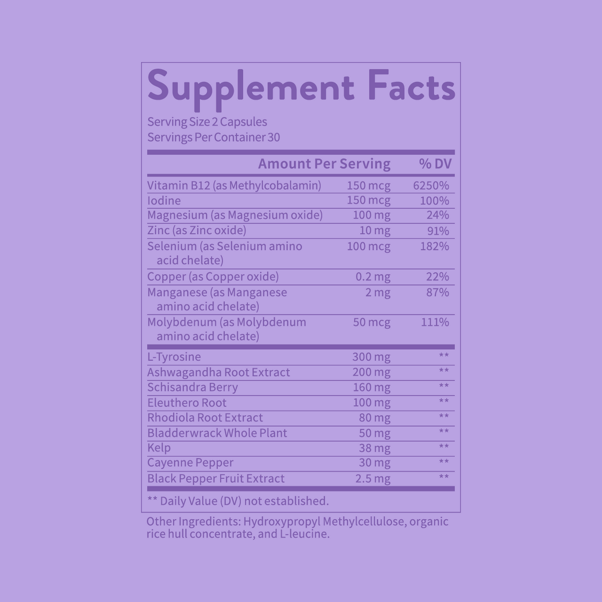 The Stress Bundle WellPath